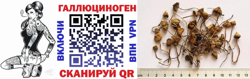 где купить наркотик  Емва  Псилоцибиновые грибы Magic Shrooms 
